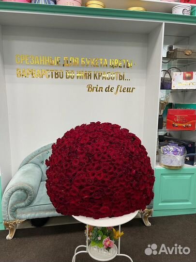 501 краная роза