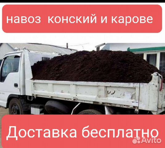 Конский навоз перегной купить в Воронеже | Товары для дома и дачи | Авито