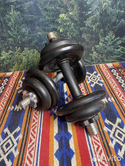 Гантели по 10 кг 2шт