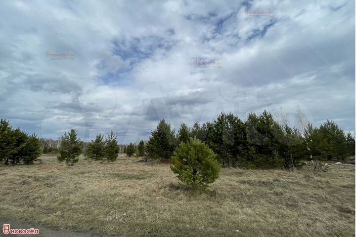 Участок 6,1 га (СНТ, ДНП)