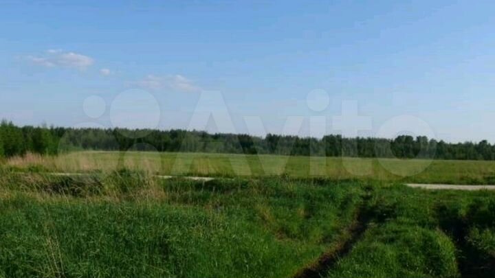 Участок 60 га (СНТ, ДНП)