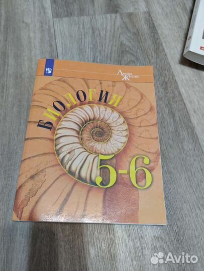 Учебники 5-6 класс