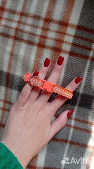 Ошейник для собак