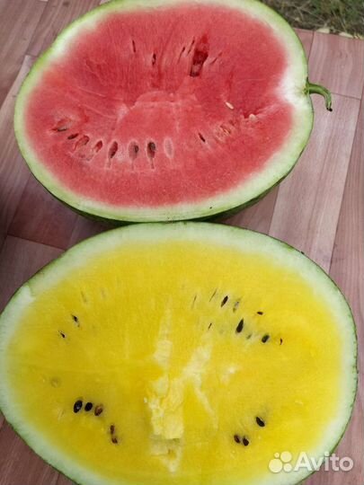 Арбуз оптом