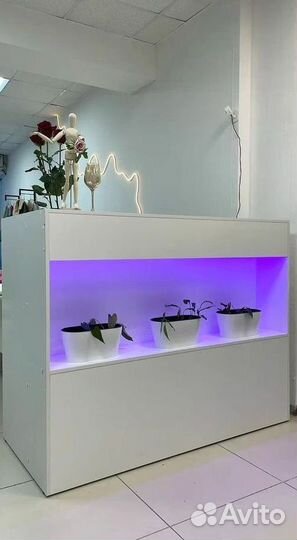 Стойка ресепшн Ботаника