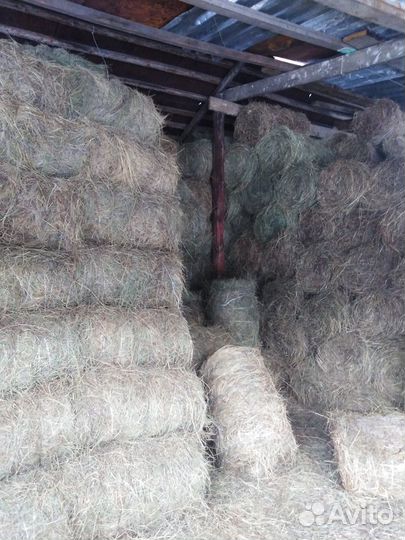 Продам сено в рулонах