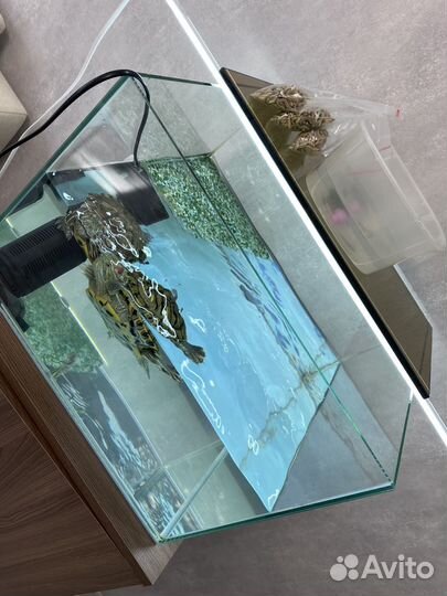 Аквариум с тумбой