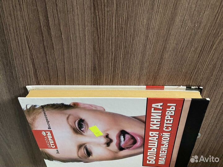 З.Воскресенская. Большая книга маленькой стервы