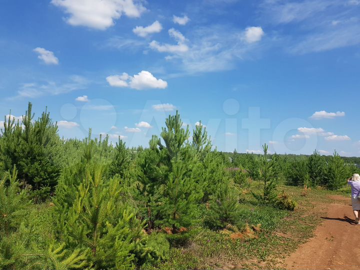 Участок 7,7 га (СНТ, ДНП)