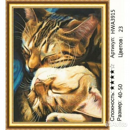 Алмазная мозаика 40x50 Котячьи