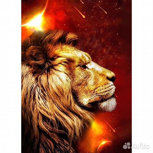 Алмазная мозаика 'Сила огня' 30 x 40 см