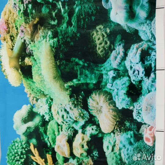 Аквариум с рыбками