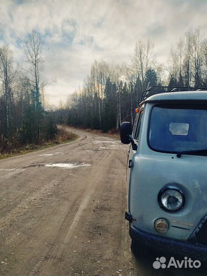 Заброска Усьва, Столбы, Безгодово, Шумихинские