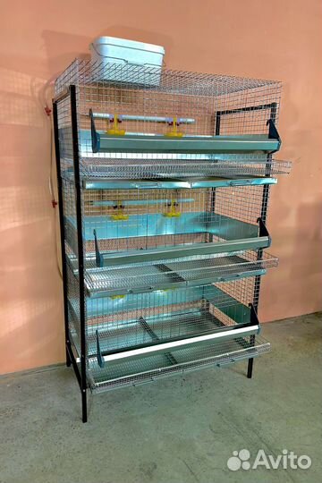 Клетки для кур несушек с яйцесборником