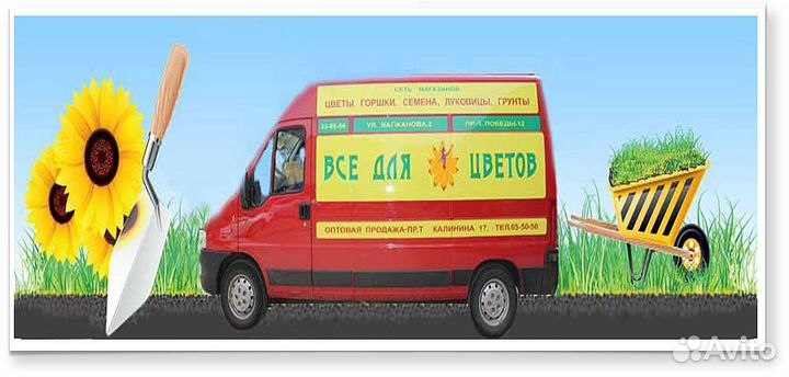 Продавец в магазин 