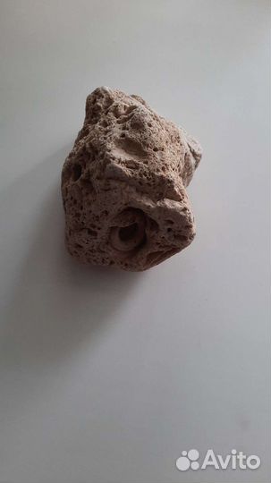 Камень Аммонит