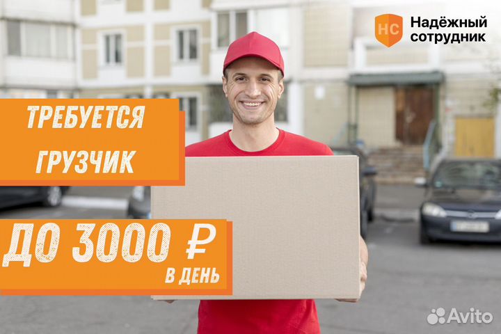 Грузчик подработка ежедневные выплаты