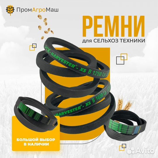 83101681 набор из трех ремней