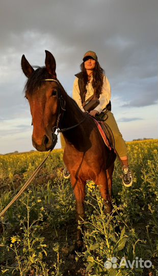 Лошади разные