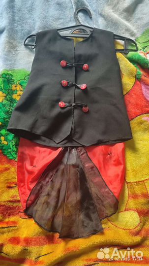 Костюм божьей коровки (аренда)