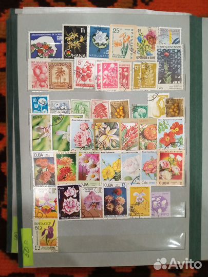 Почтовые марки Флора