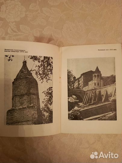 Книга Воронеж Памятники города