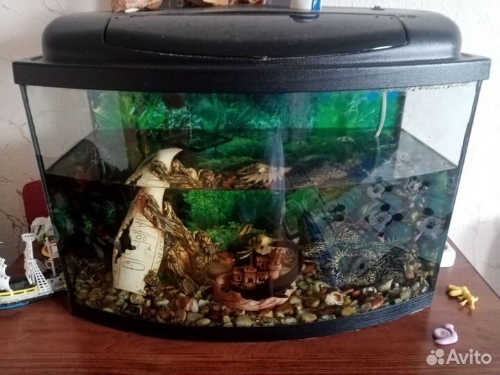 Аквариум