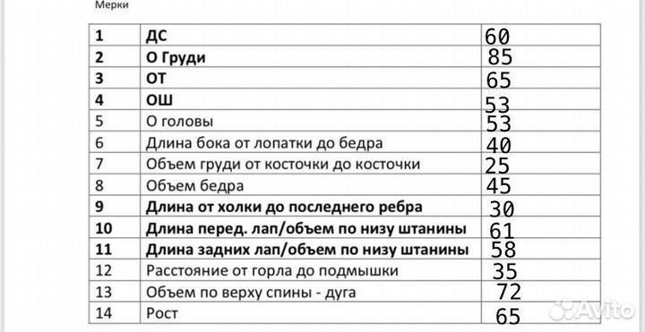 Зимний комбинезон для крупной собаки