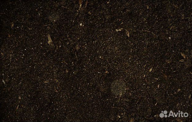 Перегной для кабачков