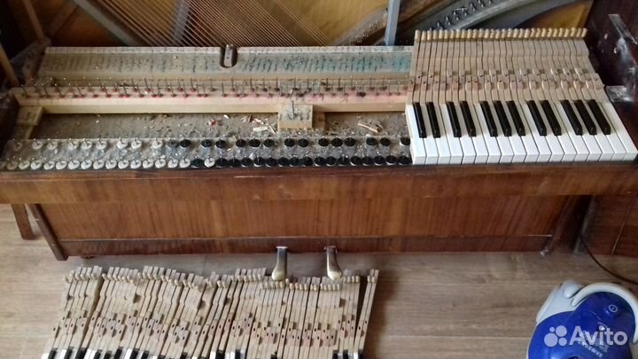 Настройка и ремонт фортепиано (пианино, рояль)