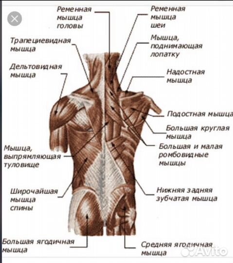 Массаж классический