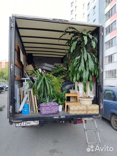 Грузоперевозки нн/такелаж/грузчики/переезды