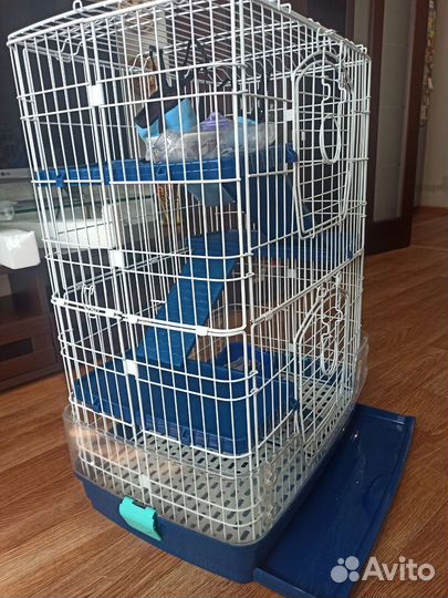 Клетка для грызунов