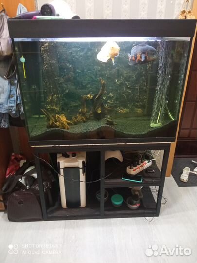 Аквариум