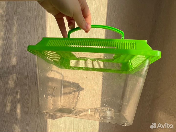 Террариум для черепахи