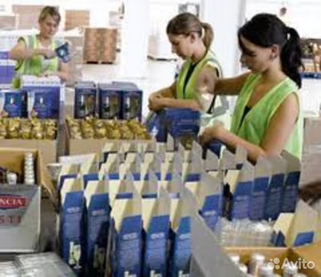 Упаковщики наборов Вахта Еженедельные Выплаты