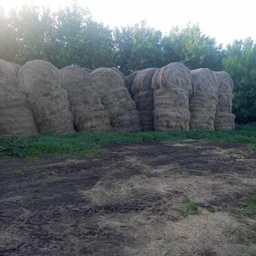 Сено в тюках