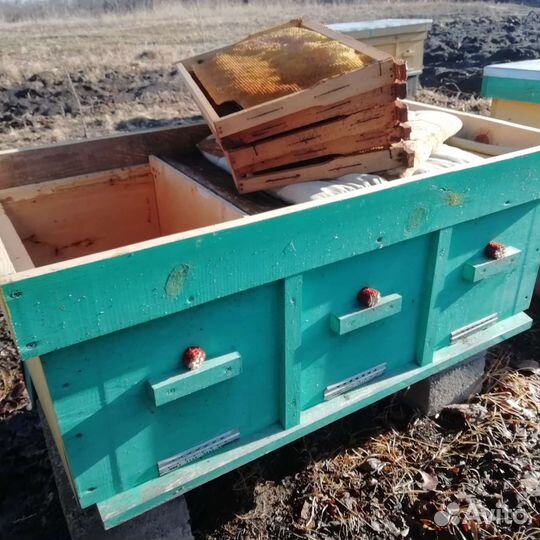 Продам ульи для пчел