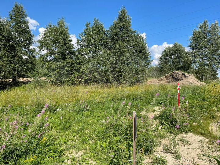 Участок 13,2 сот. (СНТ, ДНП)