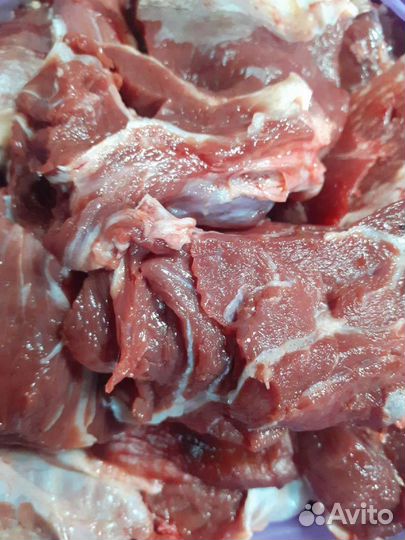 Качественное мясо для собачек