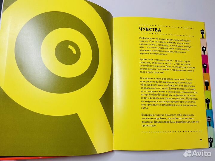 Инфографика 