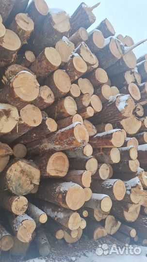 Лес кругляк