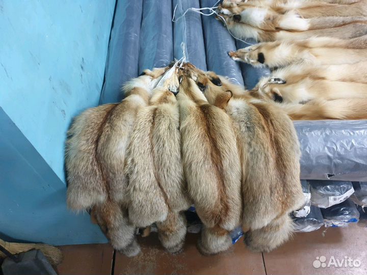 Мех лисы шкура лисы