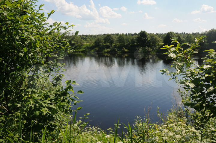 Участок 4,9 га (СНТ, ДНП)