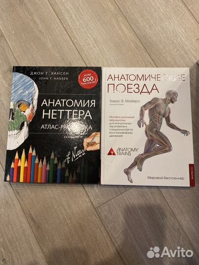 Томас Майерс Анатомические поезда Анатомия Неттера