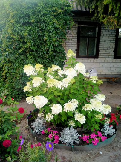 Дача 20 м² на участке 7,1 сот.