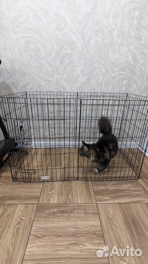 Клетка вольер для собак