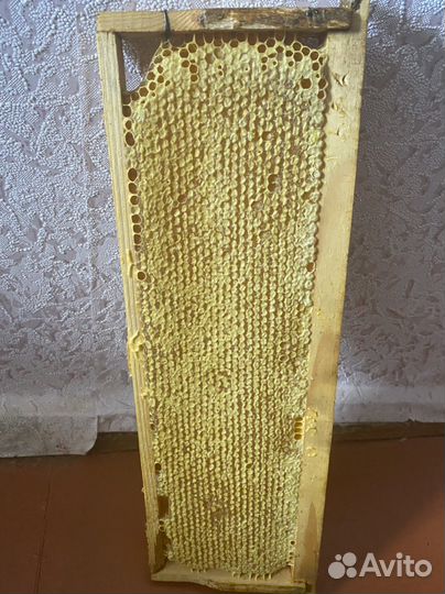 Натуральный мед со своей пасеки