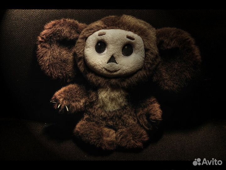 Коллекция пивных крышек