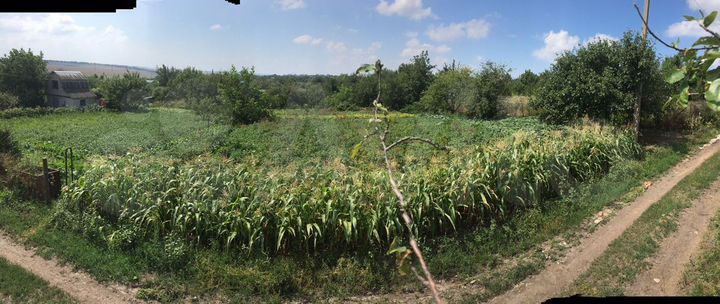 Участок 10 сот. (СНТ, ДНП)